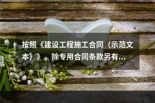 按照《建设工程施工合同（示范文本）》，除专用合同条款另有约定