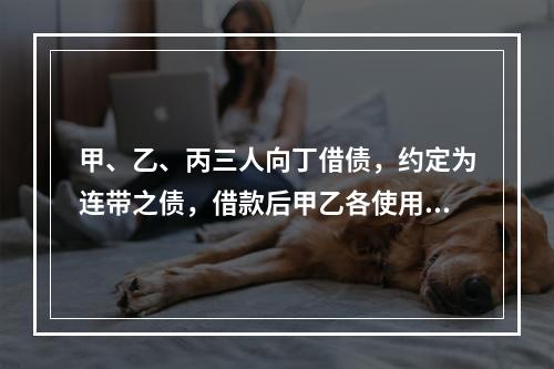 甲、乙、丙三人向丁借债，约定为连带之债，借款后甲乙各使用了2