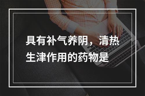 具有补气养阴，清热生津作用的药物是