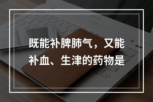 既能补脾肺气，又能补血、生津的药物是