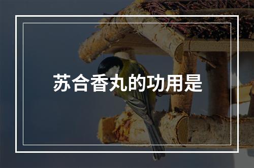 苏合香丸的功用是