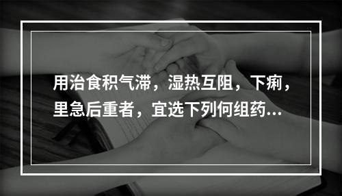 用治食积气滞，湿热互阻，下痢，里急后重者，宜选下列何组药物最