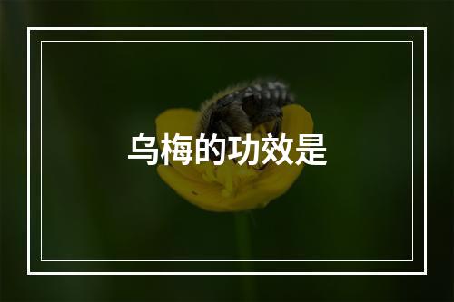 乌梅的功效是