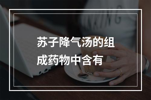 苏子降气汤的组成药物中含有