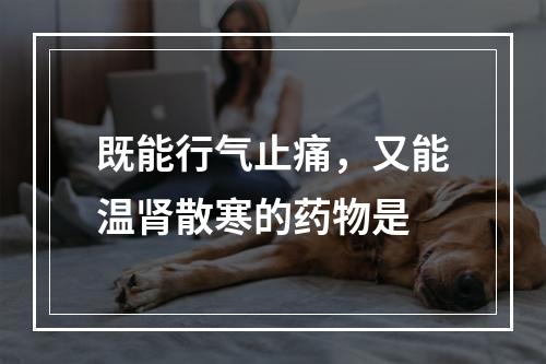 既能行气止痛，又能温肾散寒的药物是