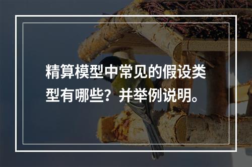 精算模型中常见的假设类型有哪些？并举例说明。