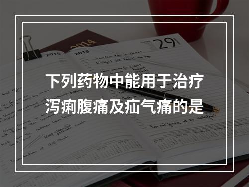 下列药物中能用于治疗泻痢腹痛及疝气痛的是