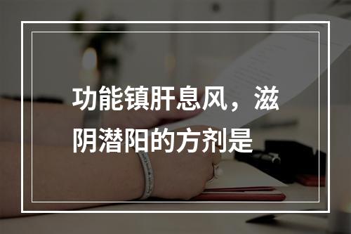 功能镇肝息风，滋阴潜阳的方剂是