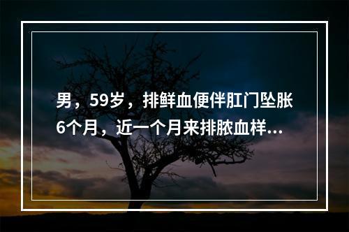 男，59岁，排鲜血便伴肛门坠胀6个月，近一个月来排脓血样便，