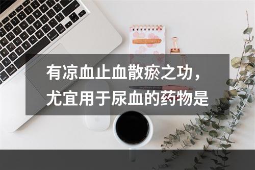 有凉血止血散瘀之功，尤宜用于尿血的药物是