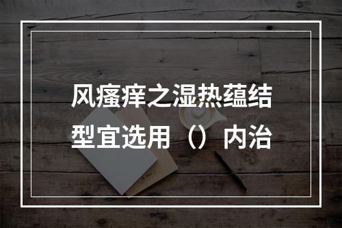 风瘙痒之湿热蕴结型宜选用（）内治