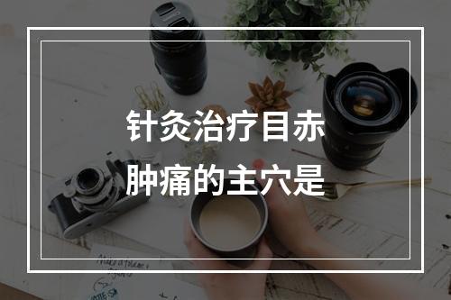 针灸治疗目赤肿痛的主穴是