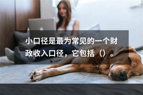 小口径是最为常见的一个财政收入口径，它包括（）。