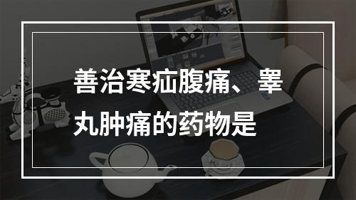 善治寒疝腹痛、睾丸肿痛的药物是