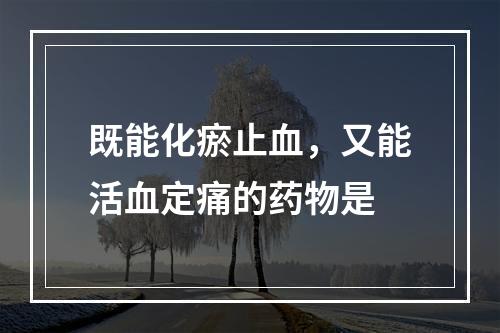 既能化瘀止血，又能活血定痛的药物是