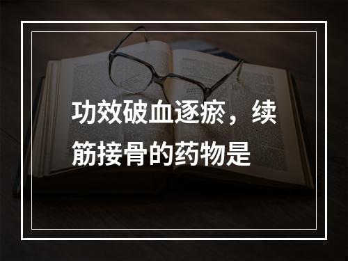 功效破血逐瘀，续筋接骨的药物是