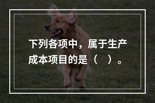 下列各项中，属于生产成本项目的是（　）。