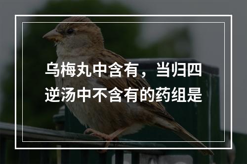 乌梅丸中含有，当归四逆汤中不含有的药组是