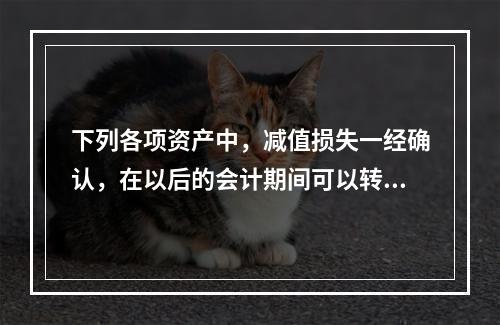 下列各项资产中，减值损失一经确认，在以后的会计期间可以转回的