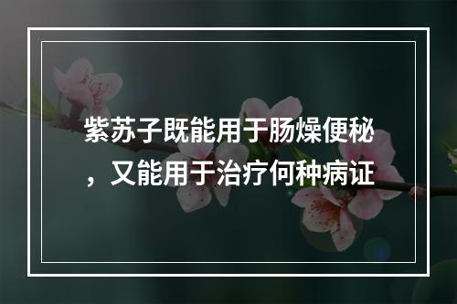 紫苏子既能用于肠燥便秘，又能用于治疗何种病证