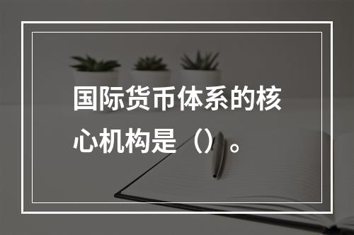 国际货币体系的核心机构是（）。