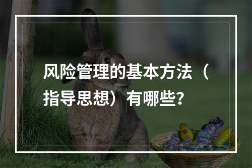 风险管理的基本方法（指导思想）有哪些？