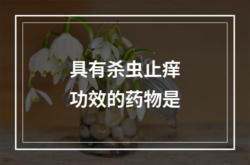 具有杀虫止痒功效的药物是