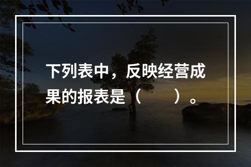 下列表中，反映经营成果的报表是（　　）。