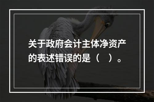 关于政府会计主体净资产的表述错误的是（　）。