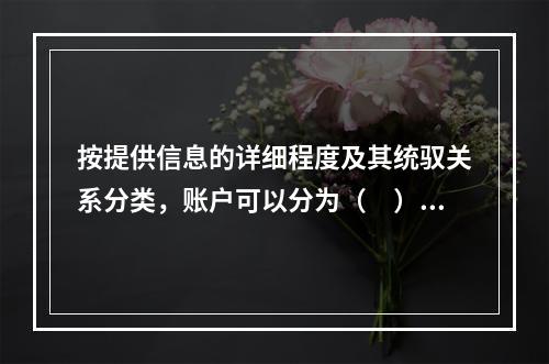 按提供信息的详细程度及其统驭关系分类，账户可以分为（　）。