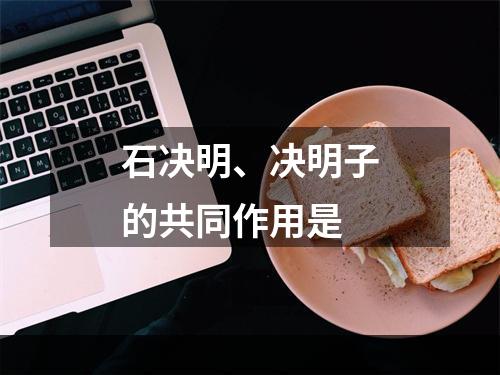 石决明、决明子的共同作用是