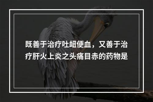 既善于治疗吐衄便血，又善于治疗肝火上炎之头痛目赤的药物是