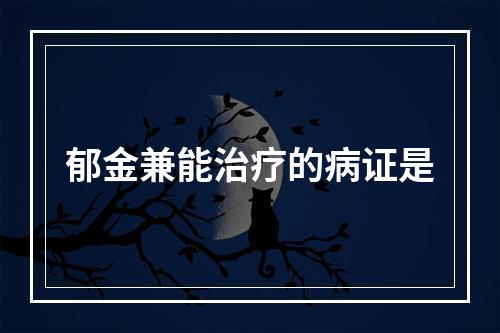 郁金兼能治疗的病证是