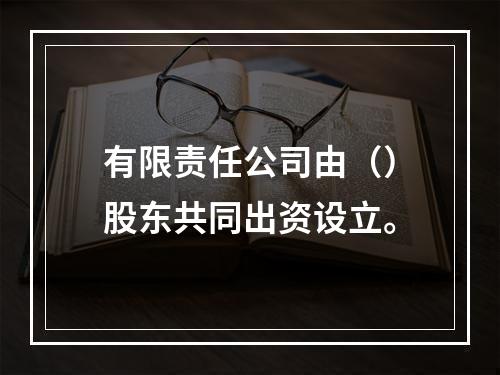 有限责任公司由（）股东共同出资设立。