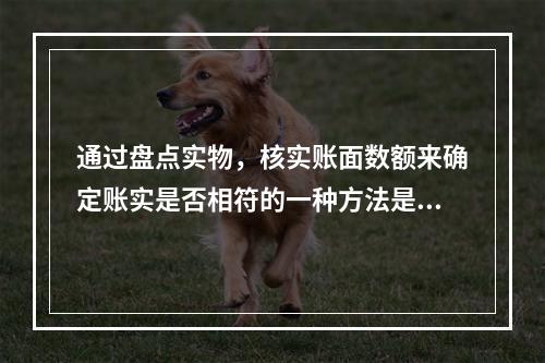 通过盘点实物，核实账面数额来确定账实是否相符的一种方法是指(