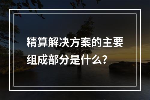 精算解决方案的主要组成部分是什么？