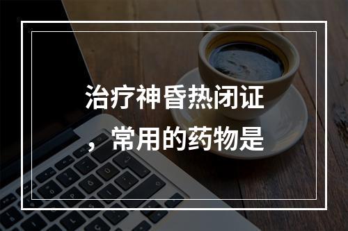 治疗神昏热闭证，常用的药物是