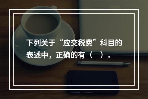 下列关于“应交税费”科目的表述中，正确的有（　）。