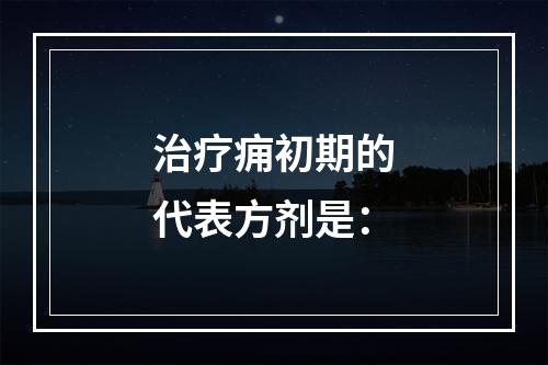 治疗痈初期的代表方剂是：