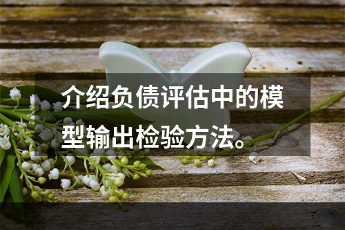 介绍负债评估中的模型输出检验方法。