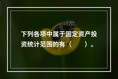 下列各项中属于固定资产投资统计范围的有（　　）。