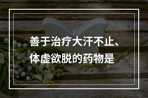 善于治疗大汗不止、体虚欲脱的药物是