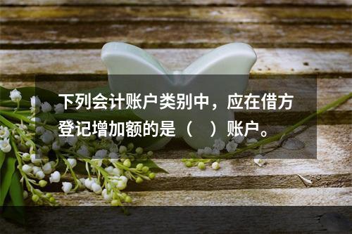 下列会计账户类别中，应在借方登记增加额的是（　）账户。