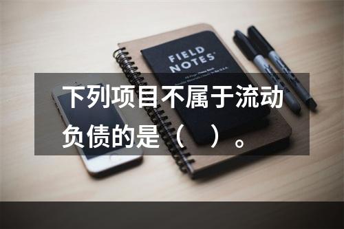 下列项目不属于流动负债的是（　）。