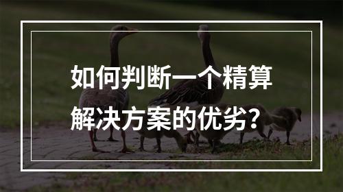 如何判断一个精算解决方案的优劣？