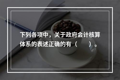 下列各项中，关于政府会计核算体系的表述正确的有（　　）。