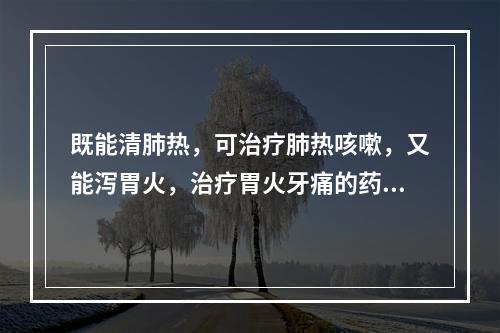 既能清肺热，可治疗肺热咳嗽，又能泻胃火，治疗胃火牙痛的药物是