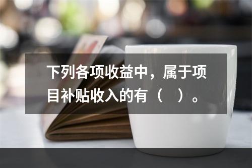 下列各项收益中，属于项目补贴收入的有（　）。