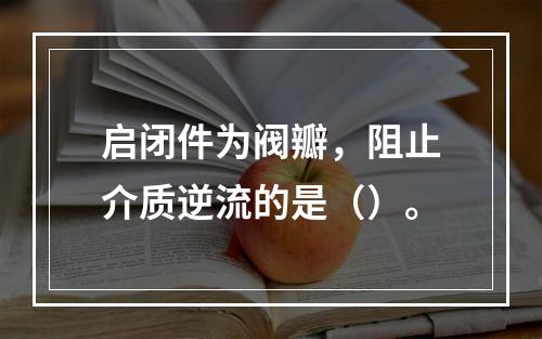 启闭件为阀瓣，阻止介质逆流的是（）。