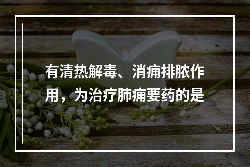 有清热解毒、消痈排脓作用，为治疗肺痈要药的是